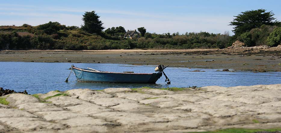 Croisière et découvertes du Golfe #2