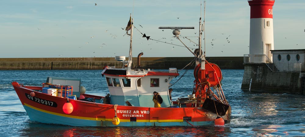 Retour de Pêche en Bretagne #4