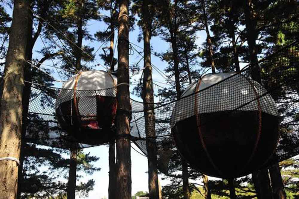 Nuit insolite en nid douillet dans les arbres #1