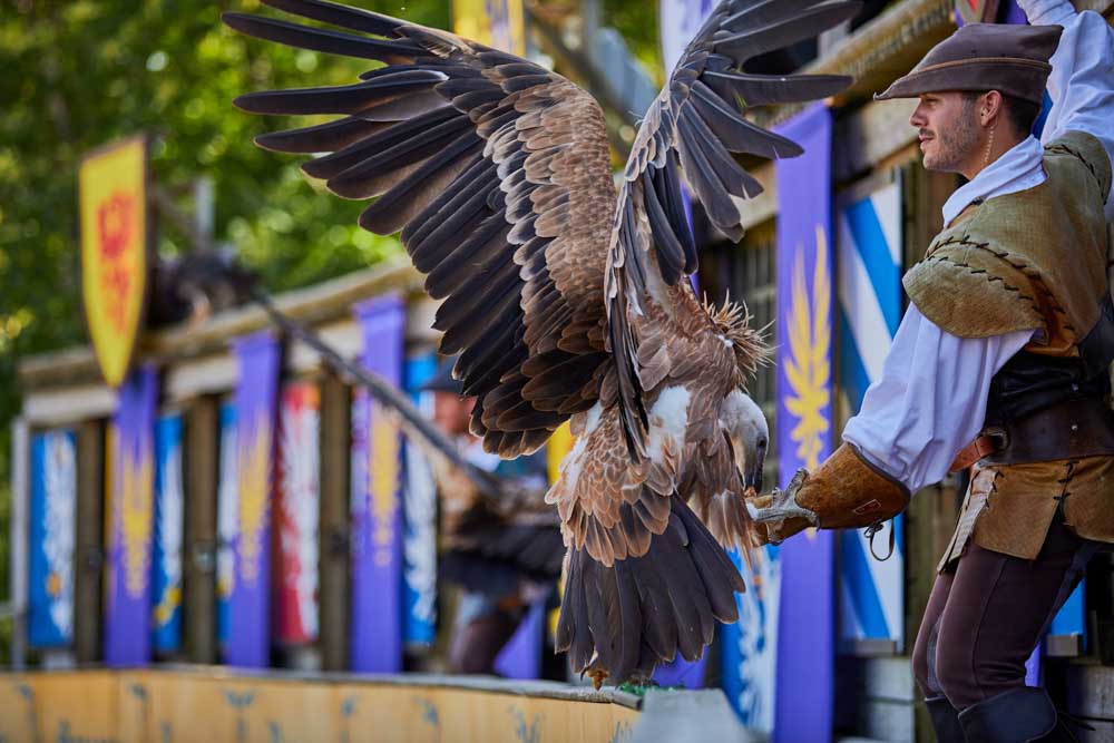 48h au pays du Puy du Fou #3