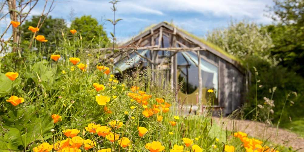 Ecolodge dans la prairie #3