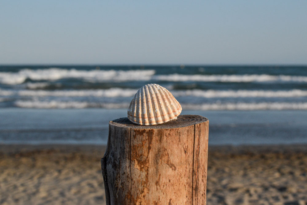 Cap sur Groix #1