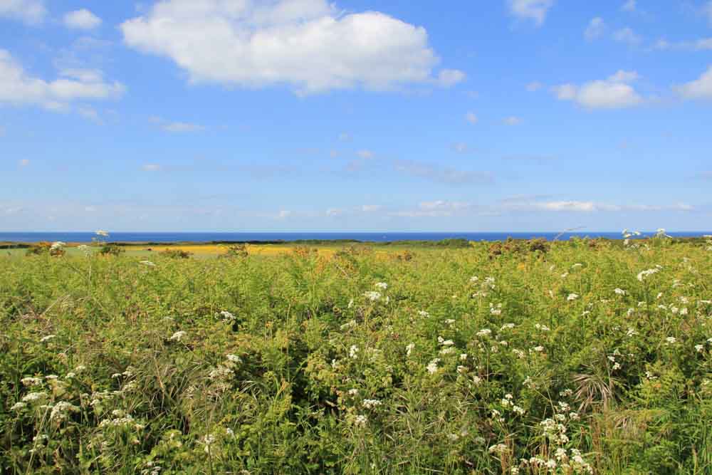 Cap sur Groix #4