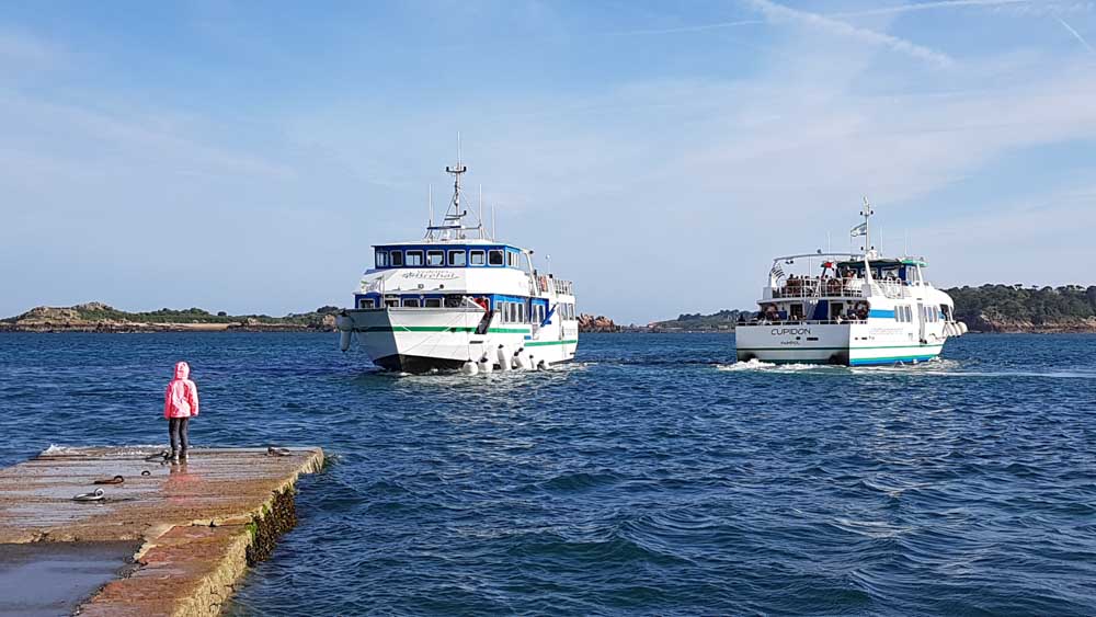 Bréhat, l'île aux fleurs des Côtes d'Armor #2