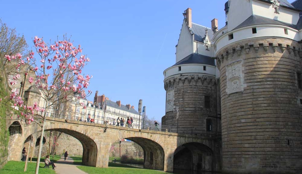 Au fil de la Loire #5