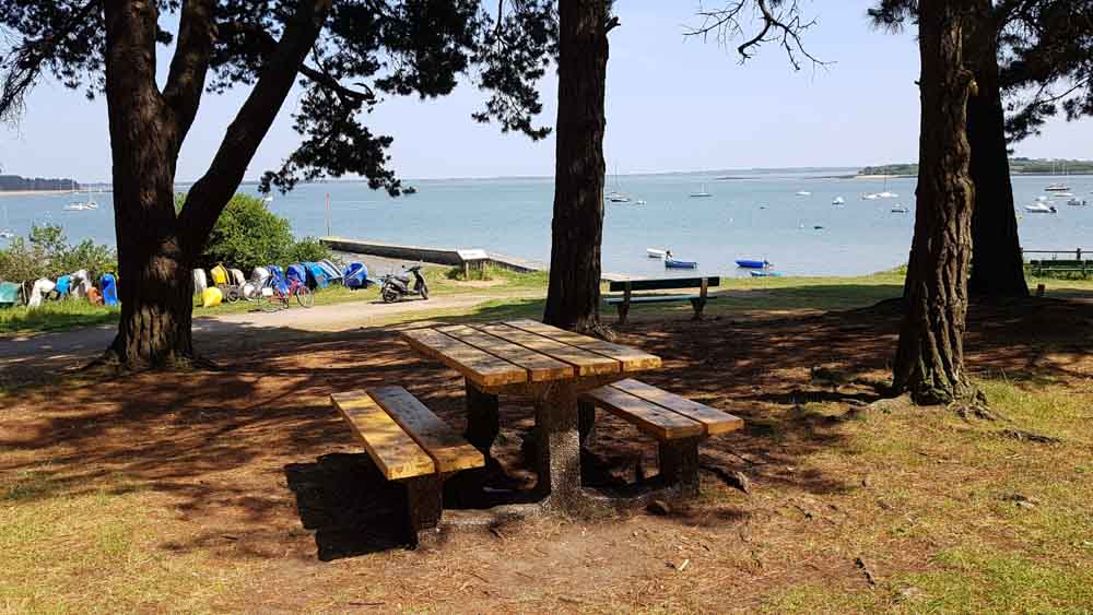 De Vannes à l'Île d'Arz #5