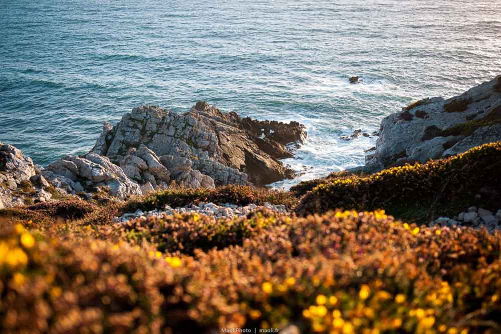 Clé en main sur la Presqu'Île de Crozon #6