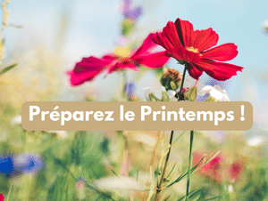 Bientôt le printemps ! actualité