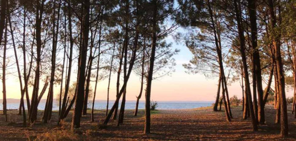 Séminaire Îles du Grand Ouest