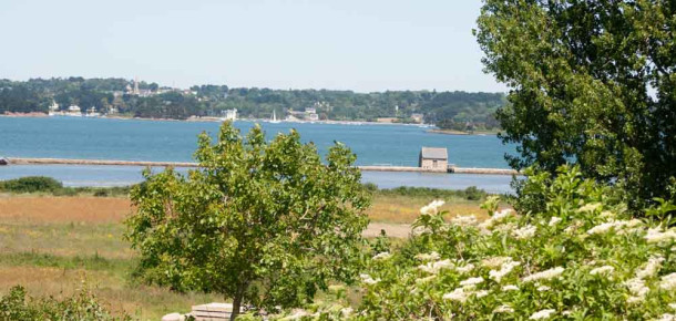 Destination Île d'Arz, Golfe du Morbihan