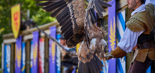 Destination Le Puy du Fou