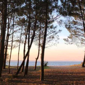 Bon cadeau Vendée et Charentes