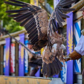 Destination Le Puy du Fou