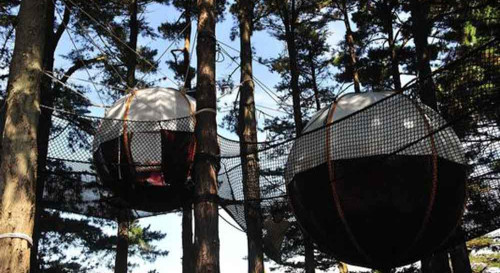 Nuit insolite en nid douillet dans les arbres