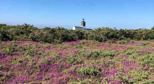 Week-end durable sur l'île de Groix