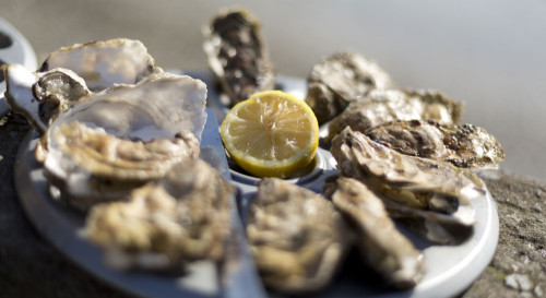 Coquillages de Cancale