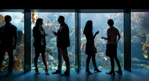 Tour du monde des océans