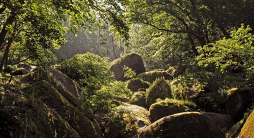 Brocéliande, terre de légendes