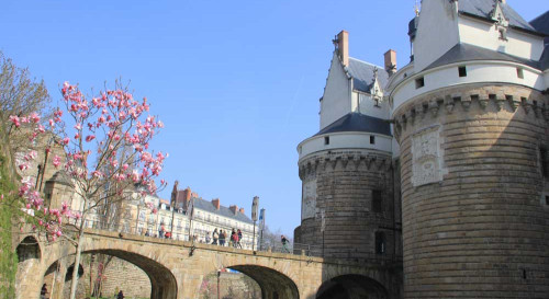 A Nantes, de la vigne à la mer