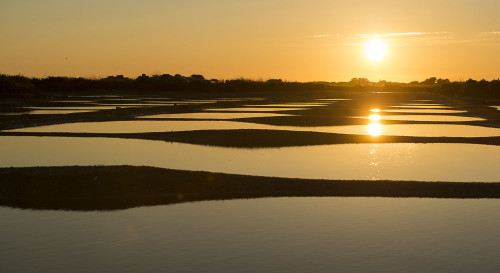 Cocktail d'îles en Vendée