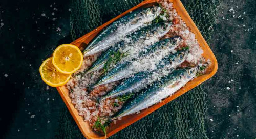Rendez-vous avec l'histoire des Penn Sardine