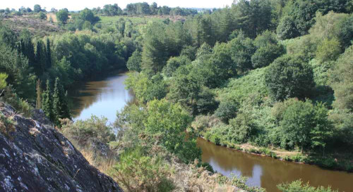 Instants créatifs en Brocéliande