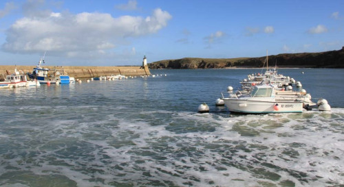 Houat et Hoëdic : 2 îles au bout du monde