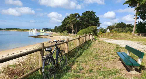 Parc et Croisière dans le Golfe du Morbihan