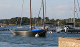 Croisière et découvertes du Golfe #3
