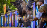 48h au pays du Puy du Fou #3