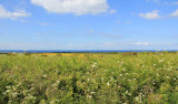 Cap sur Groix #4