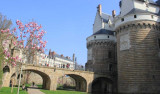 Au fil de la Loire #5