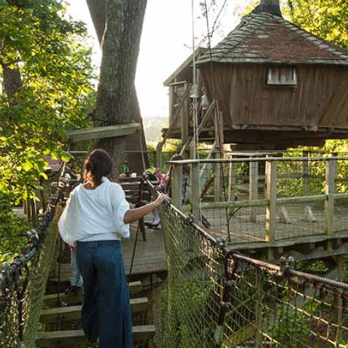 Nuit d'exception en cabane perchée