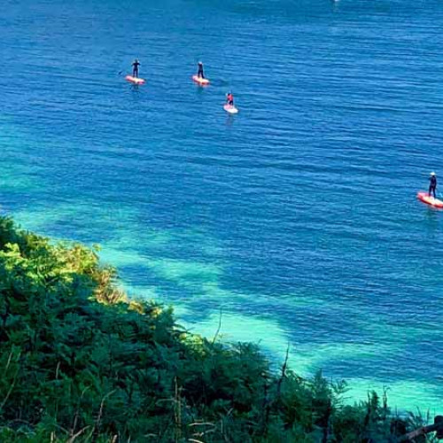 Escale iodée à Belle-Île-en-Mer