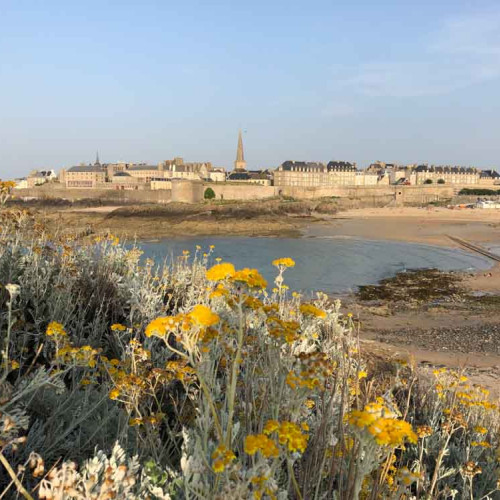 Histoires d'huîtres à Saint-Malo