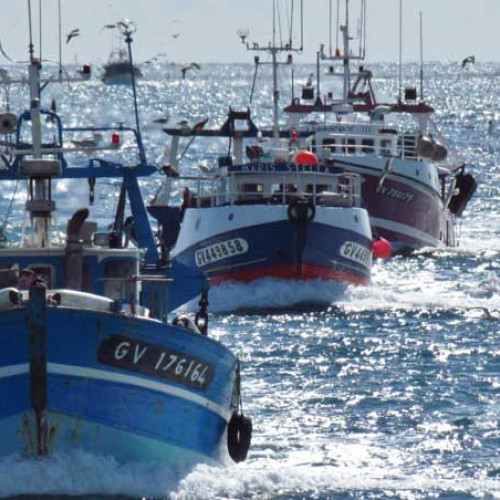 Découvertes iodées en Finistère