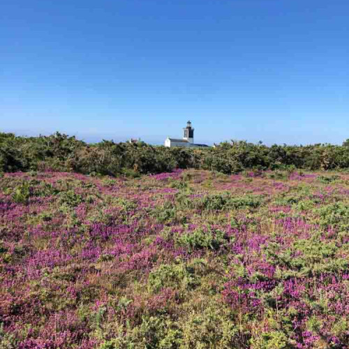 Week-end durable sur l'île de Groix