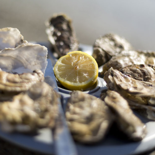 Coquillages de Cancale