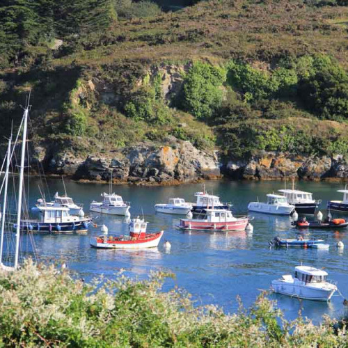 Journée clé en main à Belle-Ile