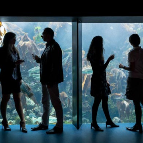 Tour du monde des océans